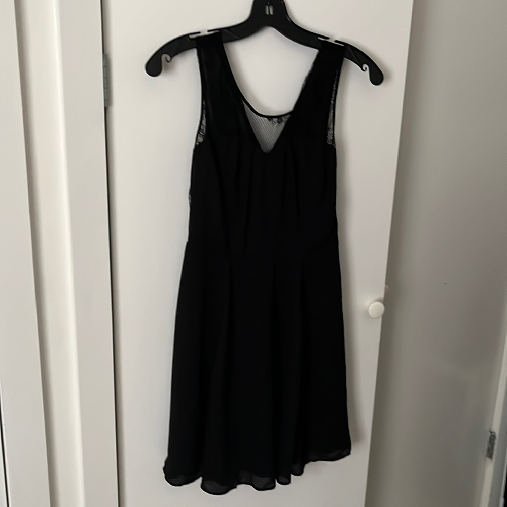 Express Silky Lace Fit and Flare Dress